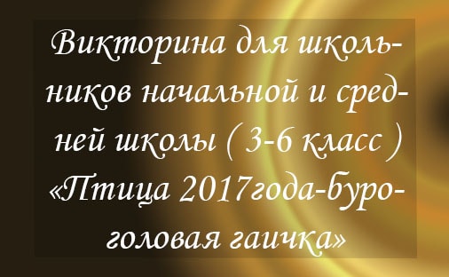Конкурсы для детей начальной школы на природе Конкурсы для детей начальной школы на природе