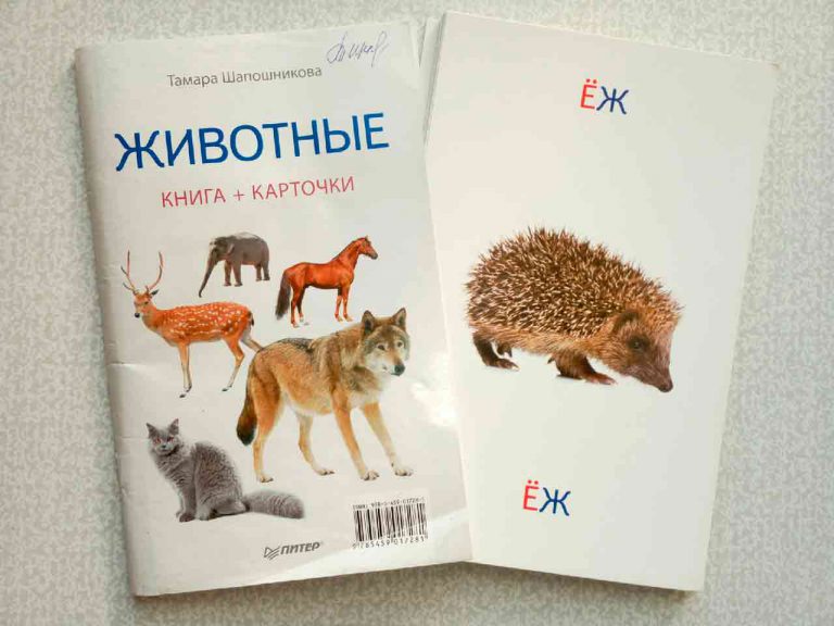 Книга и карточки «Животные»