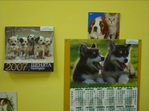 Собаки в календарях