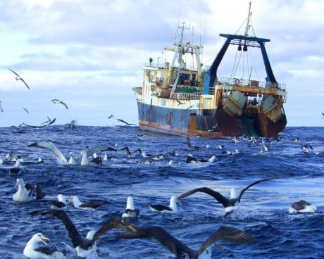 Рыбным промыслом люди занимаются и в Белом море.
