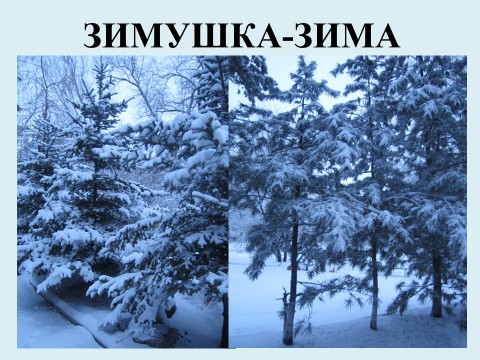 Шаблон презентации «Зимушка- Зима»