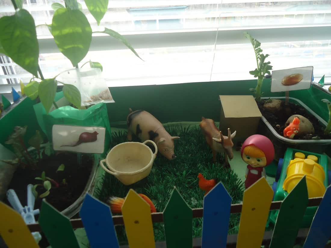 Презентация огород «Маши и Медведя» на подоконнике,  формирование экологического воспитания дошкольников посредством бережного отношения к живым объектам.