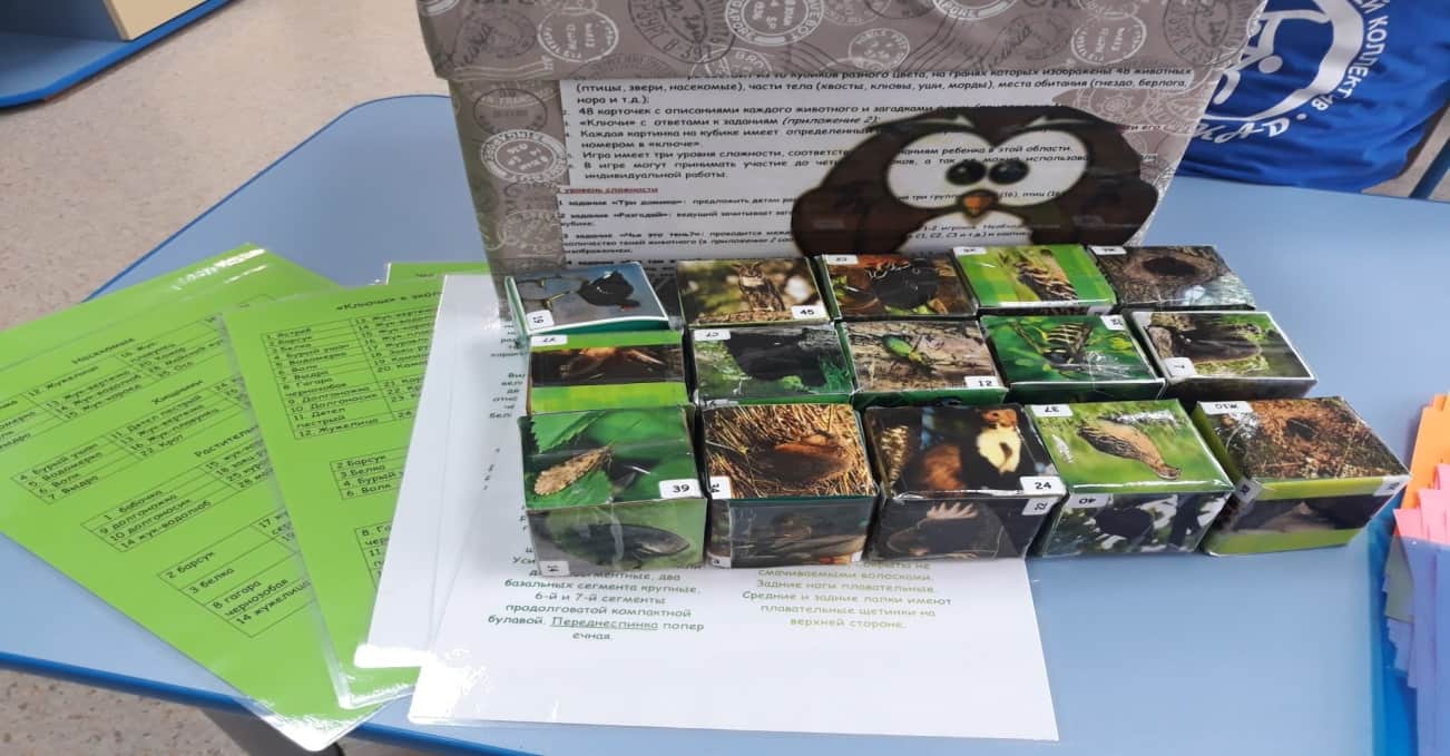 Игры по экологии | Дидактическая игра «Экологические кубики. В мире животных» 