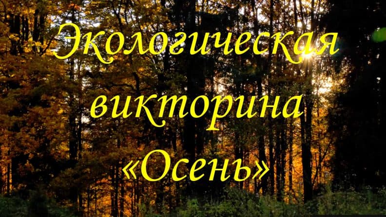 Концертно-игровая программа. «Что такое осень?»