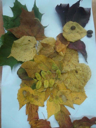 Выполняли поделки из осенних листьев