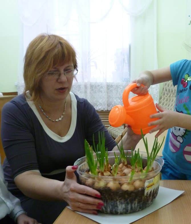 Февраль: краткосрочный проект для дошкольников «Весна на подоконнике»