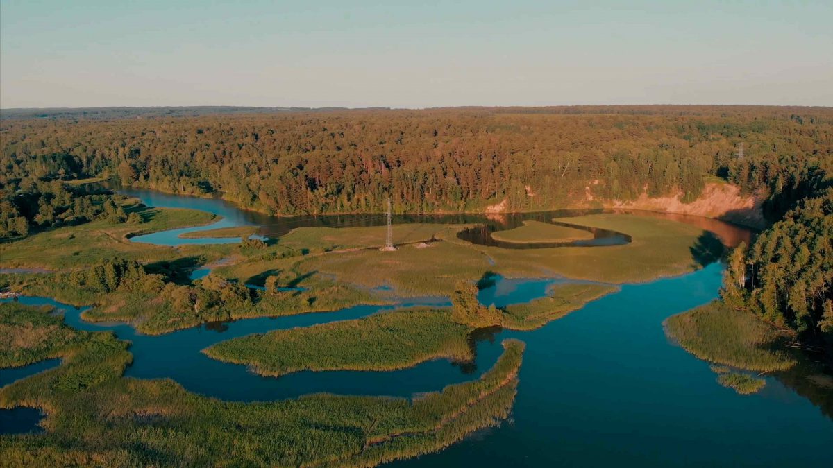 Река Коён, Новосибирская область.