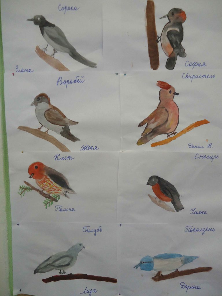 Фотоотчет: мероприятие для дошкольников 6-7 лет «Покормите птиц зимой!»